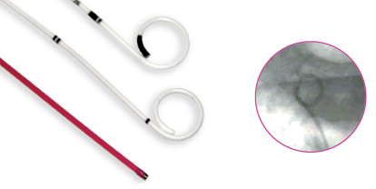 Soft RocaJJ Stent KIT