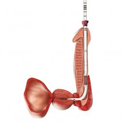 ROCAMED_EXIME_2019_Cover